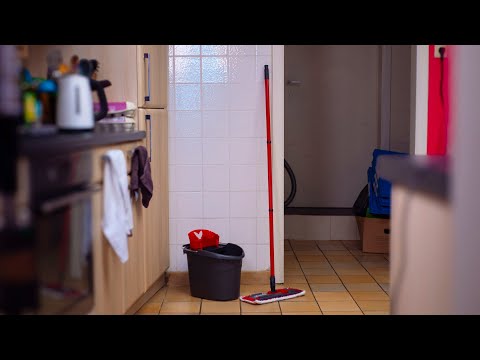 Vileda Ultramax 155737 : Test et Avis