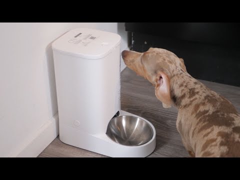 PETKIT Fresh Element Solo : Test et Avis