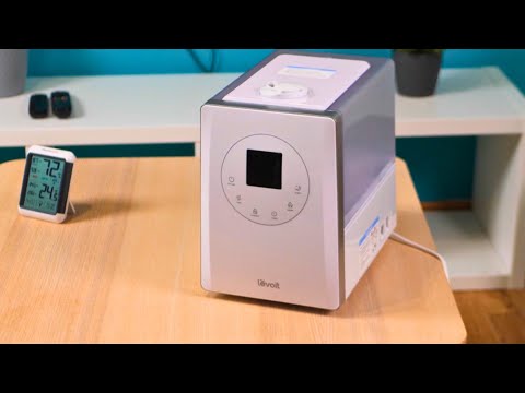Levoit LV600S : Test et Avis