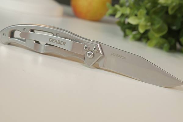 Gerber Paraframe Mini