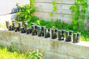 Jumelles d'observation