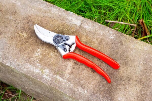Felco Sécateur n° 2